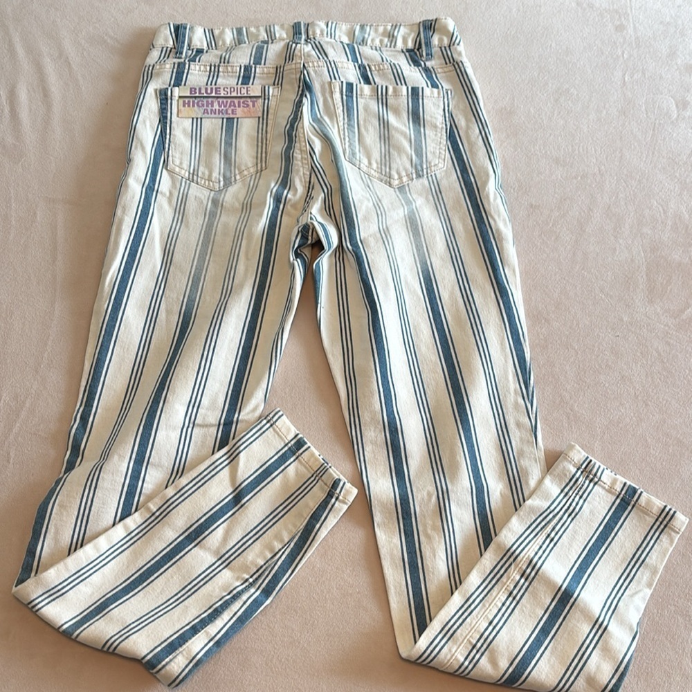 Blue Spice High Waist Ankle Striped Pants Size 5 - Picture 2 of 4